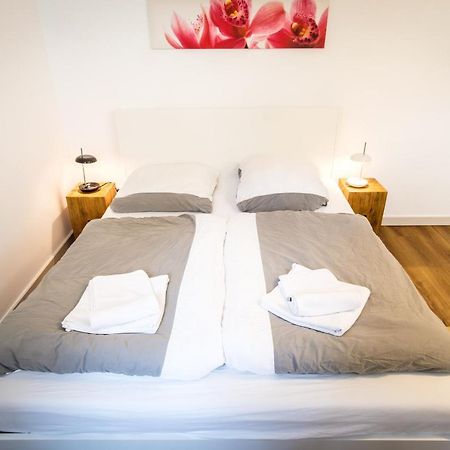 Wunderschoene Wohnung In Sanierter Villa! Incl Wifi Dresde Extérieur photo
