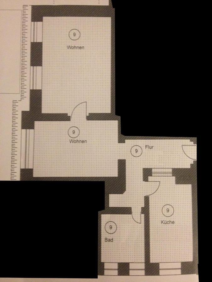 Wunderschoene Wohnung In Sanierter Villa! Incl Wifi Dresde Extérieur photo